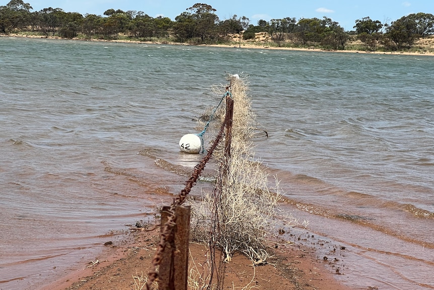 A lake that formed in a farmer's paddock after floods.