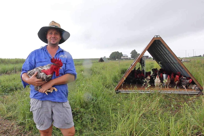 A man standing in a paddock of chickens holds a rooster in his arms.