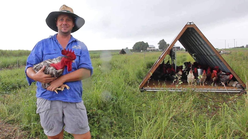 A man standing in a paddock of chickens holds a rooster in his arms.