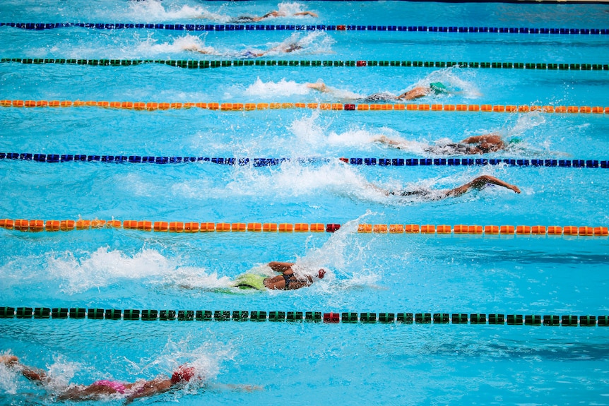 People swim alongside each other in the lanes of a swimming pool. 