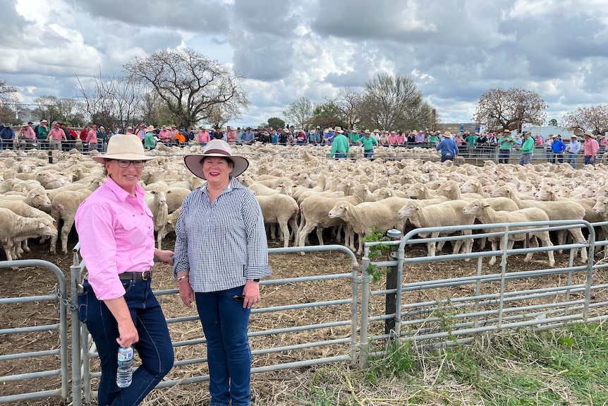 Two women stand in front of a pen of sheep