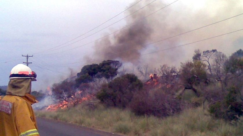 A Tasmania Fire Service fireman looks on at a blaze on the side of the road at Dolphin Sands