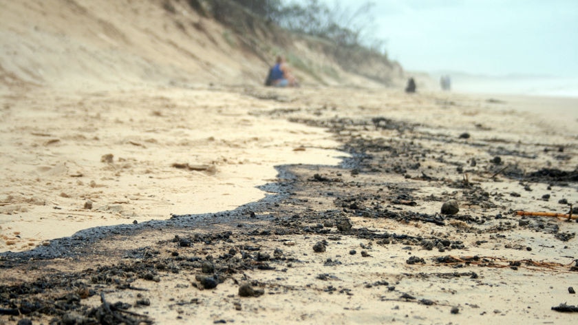 At least five Sunshine Coast beaches - Marcoola, Mudjimba, Buddina, Kawana and Wurtulla - are affected.