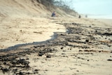 At least five Sunshine Coast beaches - Marcoola, Mudjimba, Buddina, Kawana and Wurtulla - are affected.