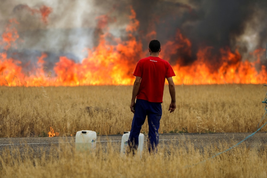 Un pastore osserva un fuoco che brucia in un campo di grano tra Tabara e Luzacio, durante la seconda ondata di caldo dell'anno.