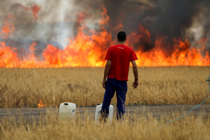 Un berger regarde un incendie brûler un champ de blé entre Tabara et Losacio, lors de la deuxième canicule de l'oui