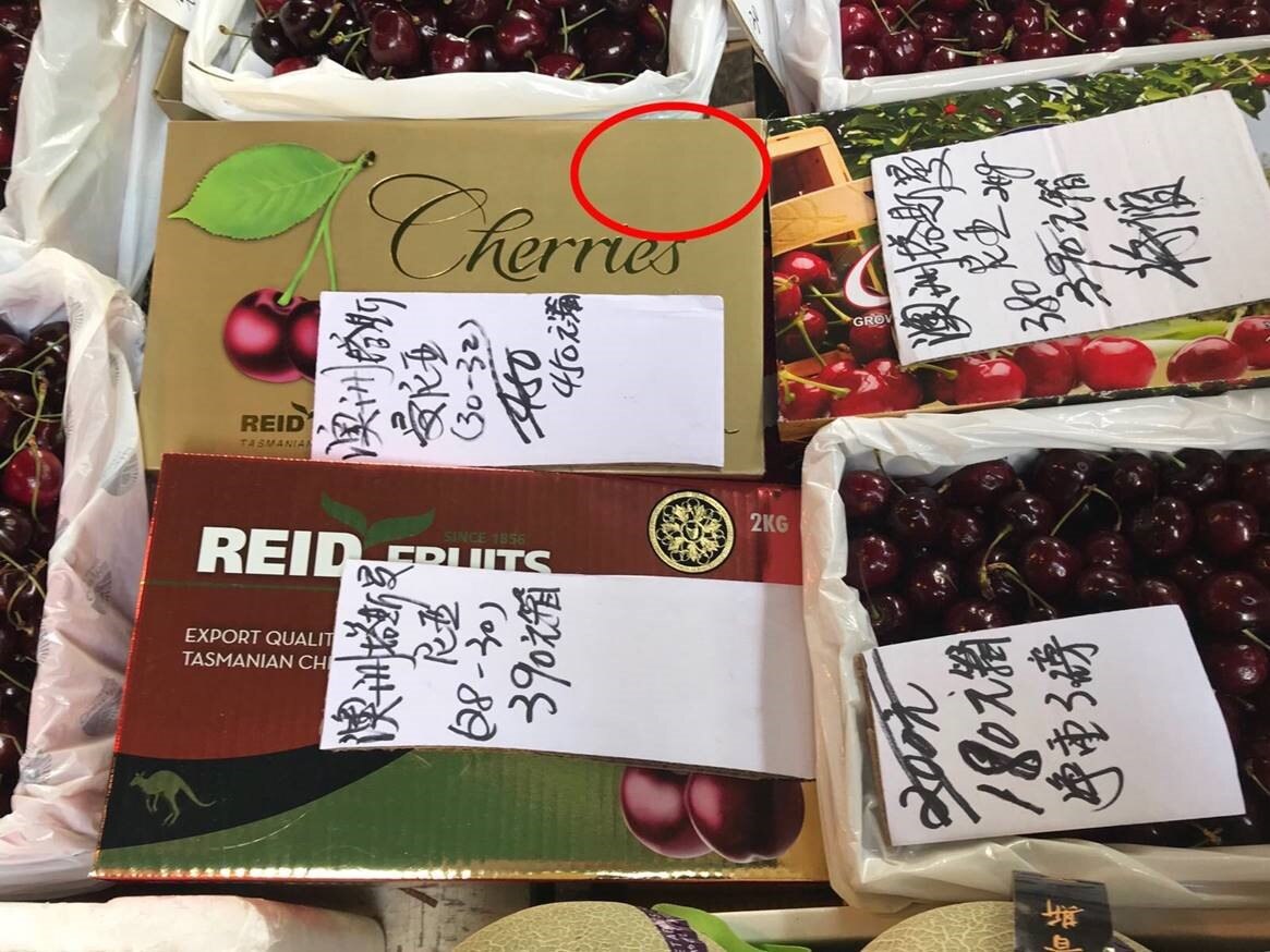 Tasmanian Cherry Producer Uses Technology Social Media To Combat Rip Off Merchants In Asia Abc News