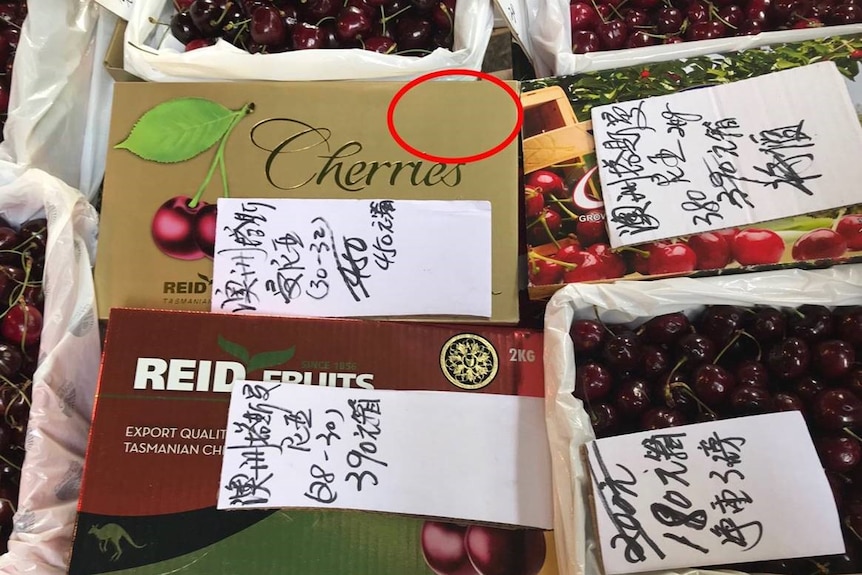 Fake Reid cherries in Hong Kong