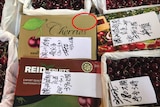 Fake Reid cherries in Hong Kong