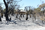 A house is framed by burnt trees at Aubin Grove in Perth