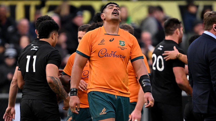 A Wallabies player reacts after the loss to the All Blacks in the Bledisloe Cup.