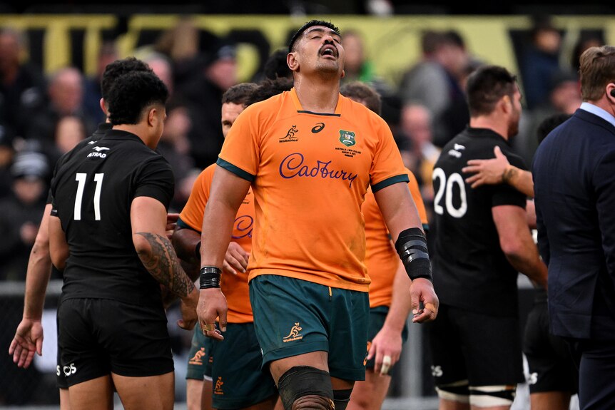 A Wallabies player reacts after the loss to the All Blacks in the Bledisloe Cup.