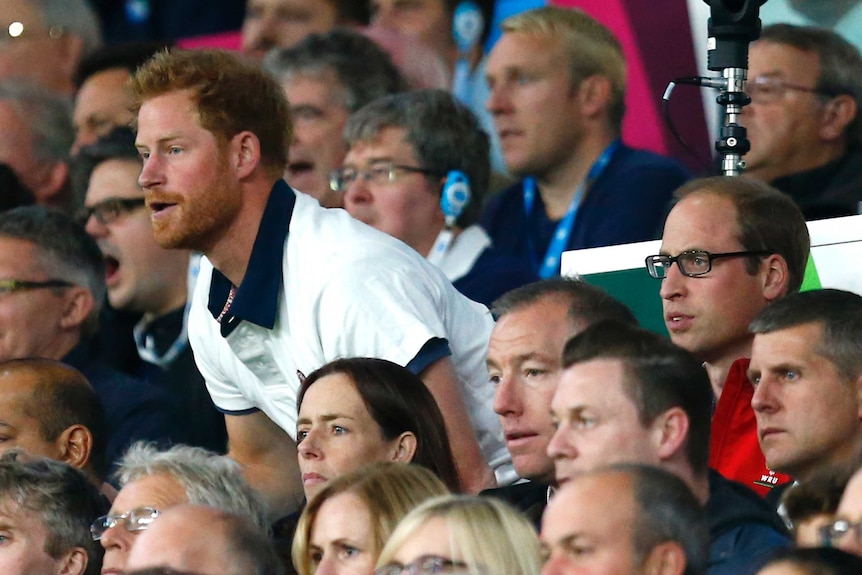 Prince Harry stands to cheer while next to Prince William in the crowd at the 2015 Rugby World Cup.