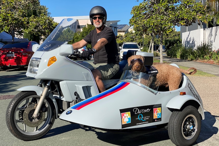 Man on motorcycle and dog standing in sidecar.