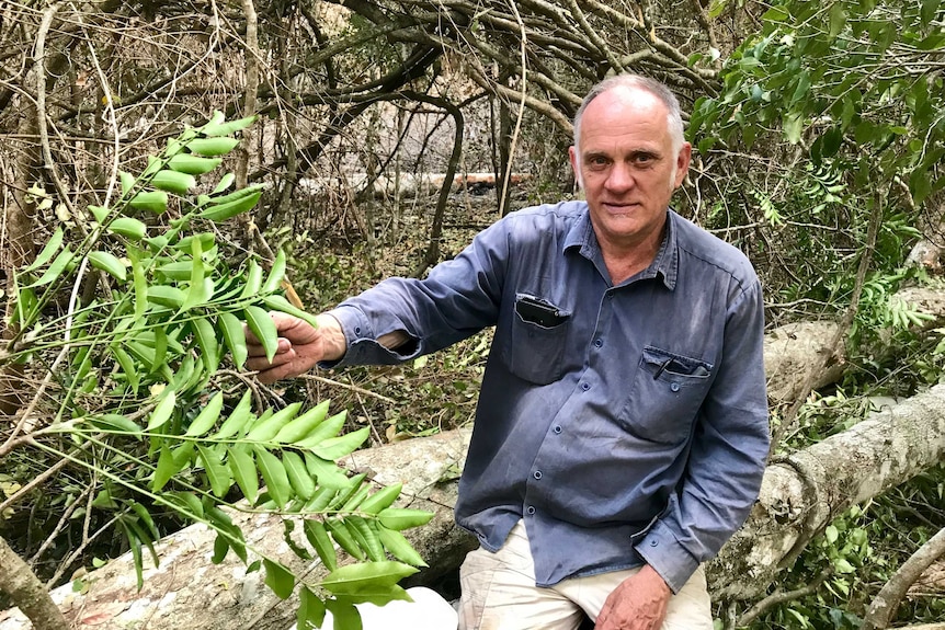 Dr Rod Fensham sits on a log