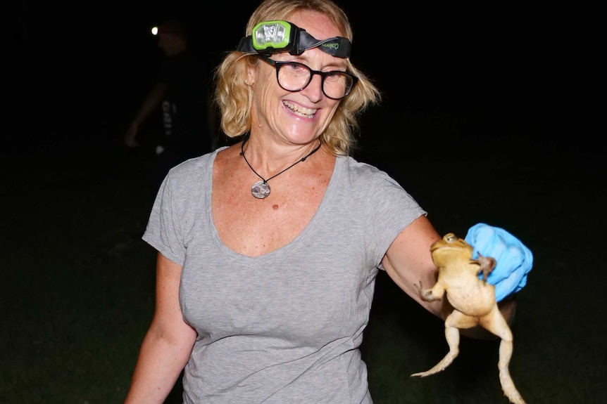 A woman holds a cane toad.