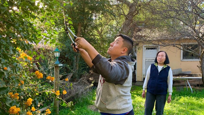 Daniel Chau works in the family garden as his mother Trang looks on.