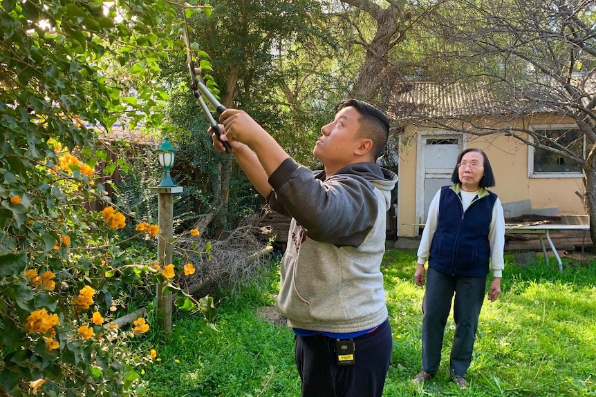Daniel Chau works in the family garden as his mother Trang looks on.