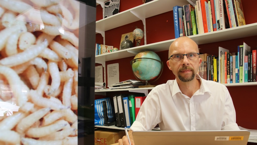 Maggots on the left of the photo with a man staring at the camera with books on shelves in the background.