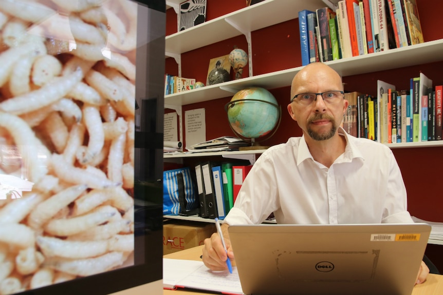 Maggots on the left of the photo with a man staring at the camera with books on shelves in the background.