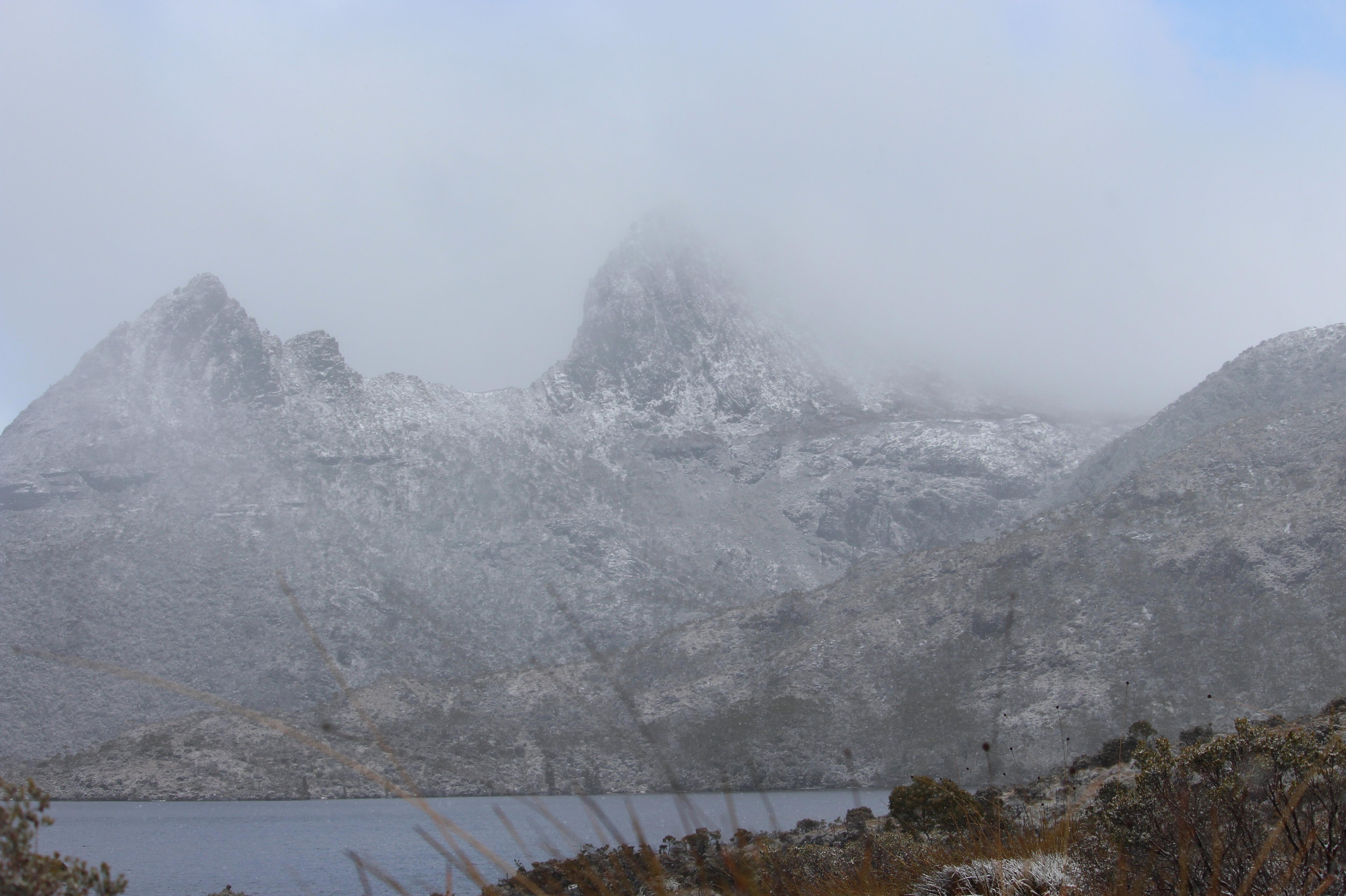 Niebla de la montaña Cradle