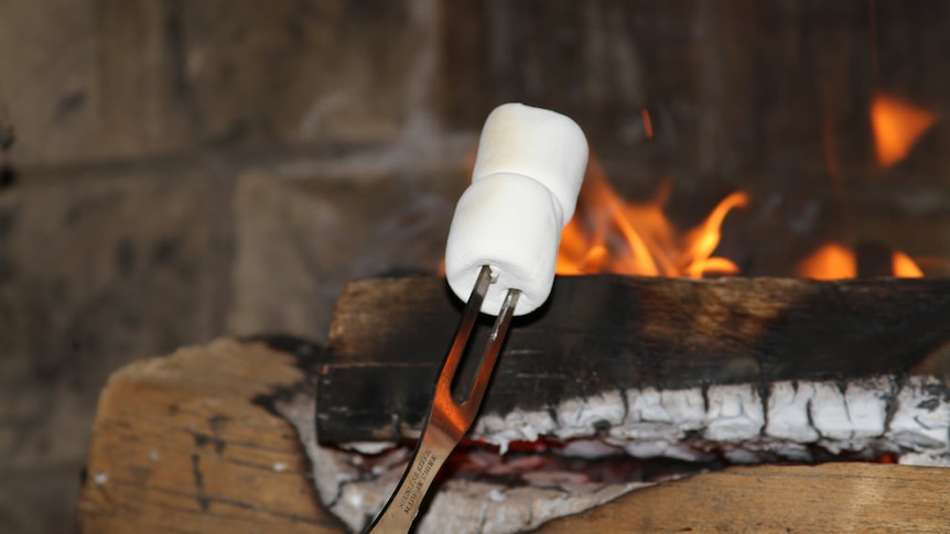 A person roasts two marshmallows over a fireplace.