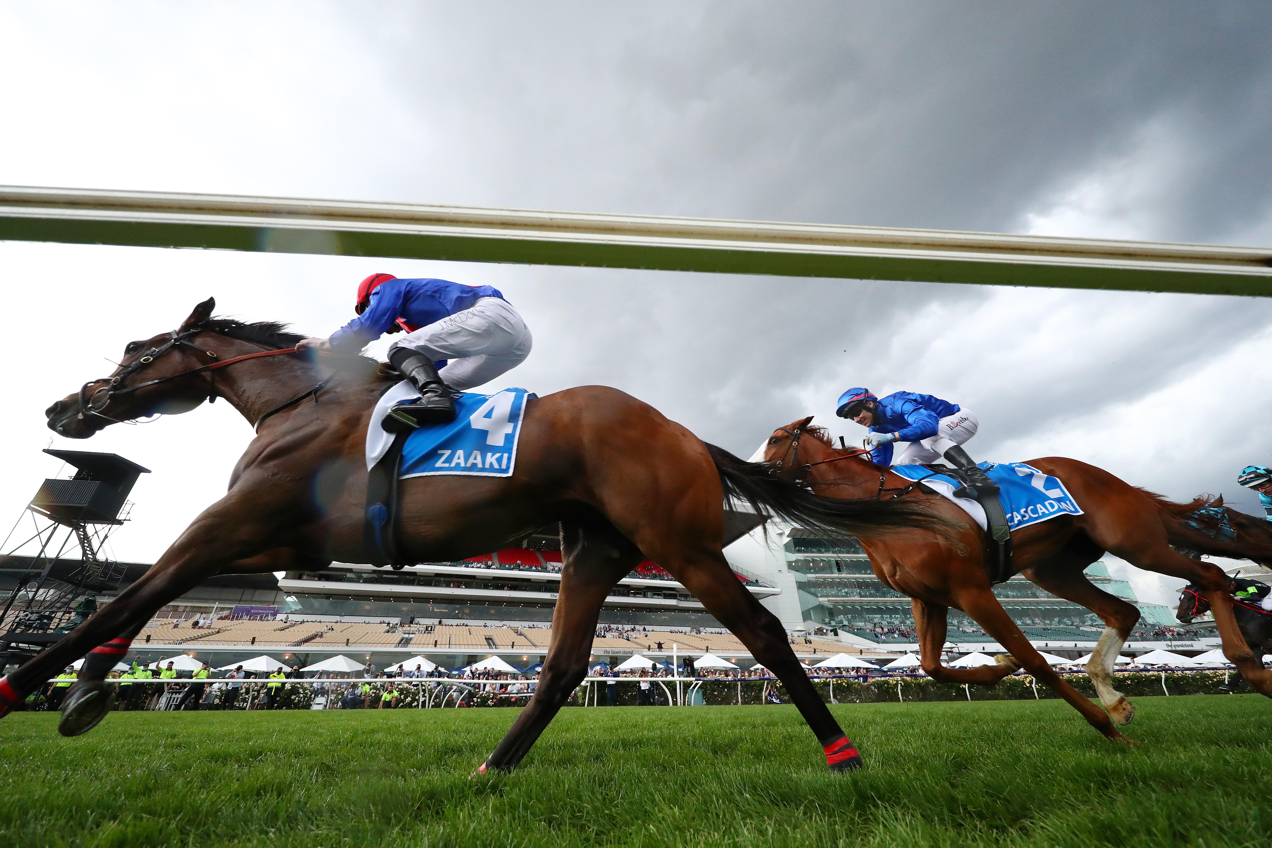 Nature Strip Wins The 2 Million Vrc Sprint Classic At Flemington On Final Day Of The Melbourne Cup Carnival Abc News