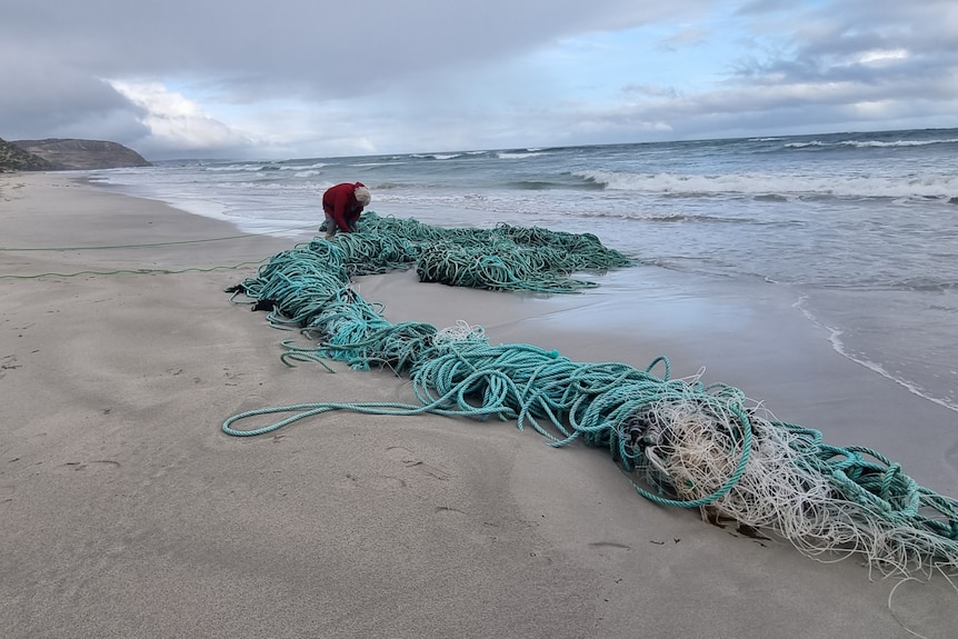 net and ropes washed up at seal bay