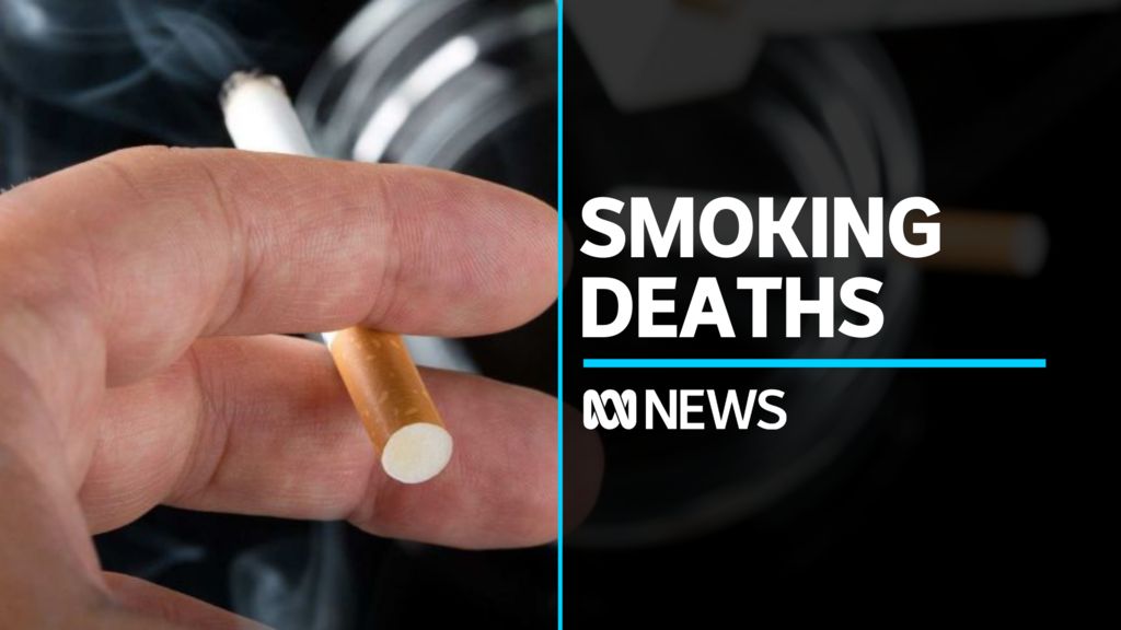 Play Video. Duration: 1 minute 51 seconds