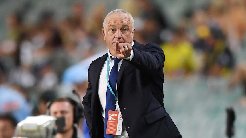 Sydney FC coach Graham Arnold signals on the sidelines