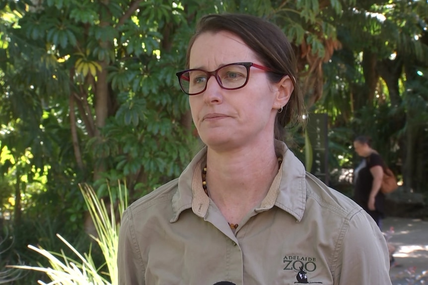 Adelaide Zoo orangutan project lead Jodie Sheridan.
