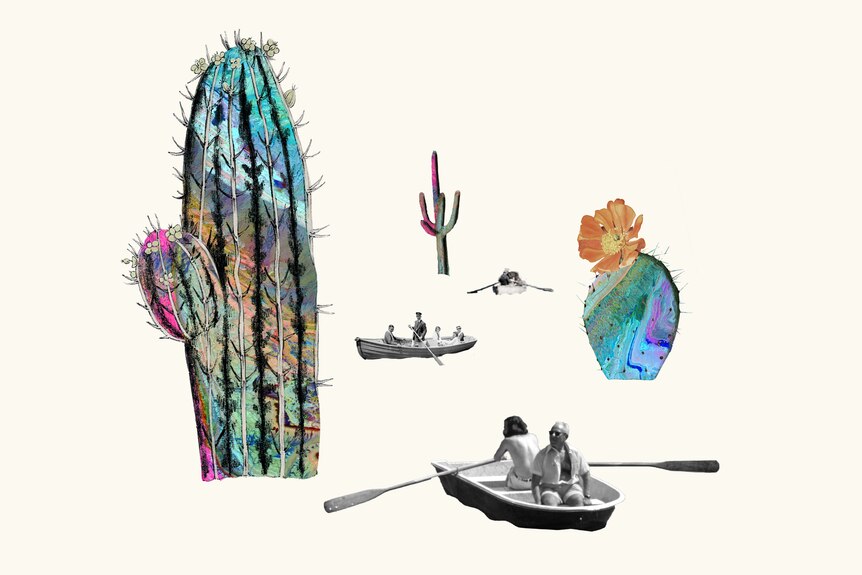 Collage of black and white pictures of rowboats dwarfed by giant illustrated multi-coloured cactus plants.