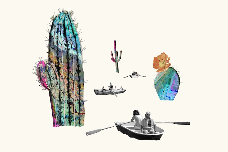 Collage of black and white pictures of rowboats dwarfed by giant illustrated multi-coloured cactus plants.