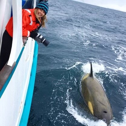 A smiling blonde woman in a beanie and a jacket leans over the side of a boat that an orca is swimming alongside.