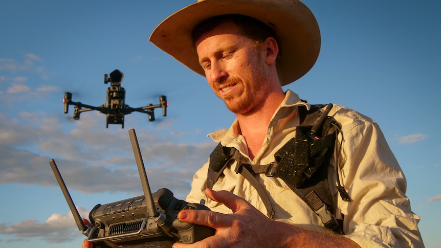 Young cattle grazier holding remote control with drone hovering in background