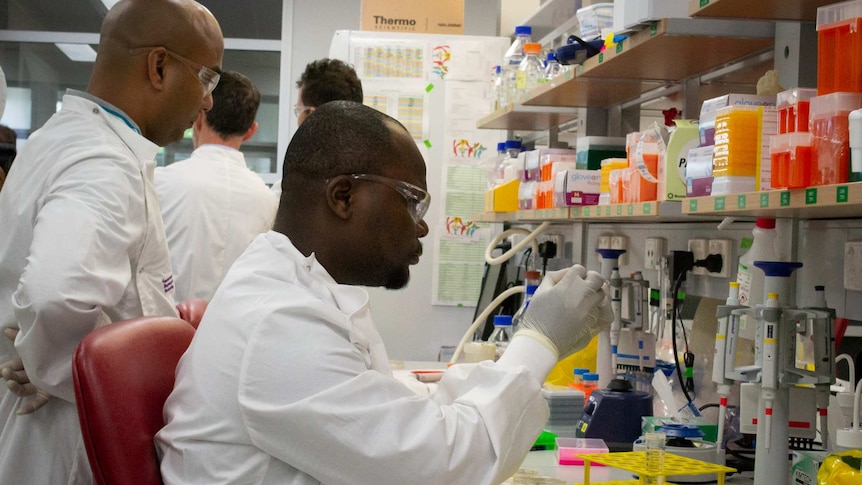 Two scientists in white coats sit at a lab bench doing an experiment