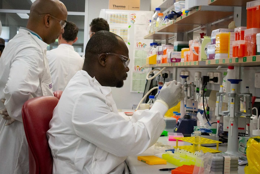 Two scientists in white coats sit at a lab bench doing an experiment