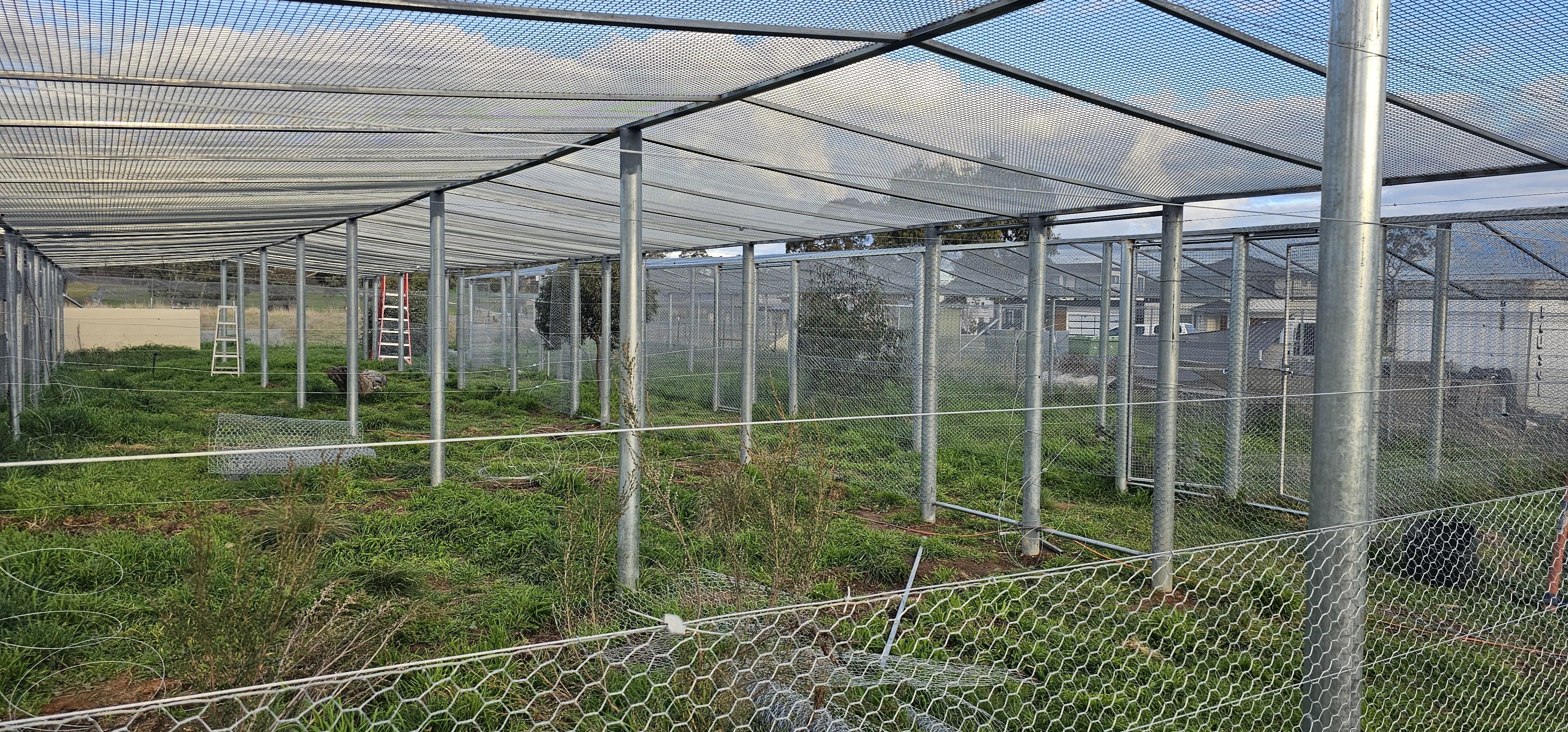a chicken wire roof and fencing is sectioned by rows of metal poles, marking 14 different enclosures to be completed.