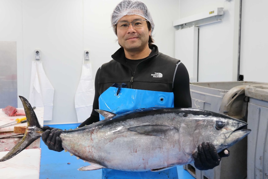 Man holding southern bluefin tuna horizontal to him in factory setting