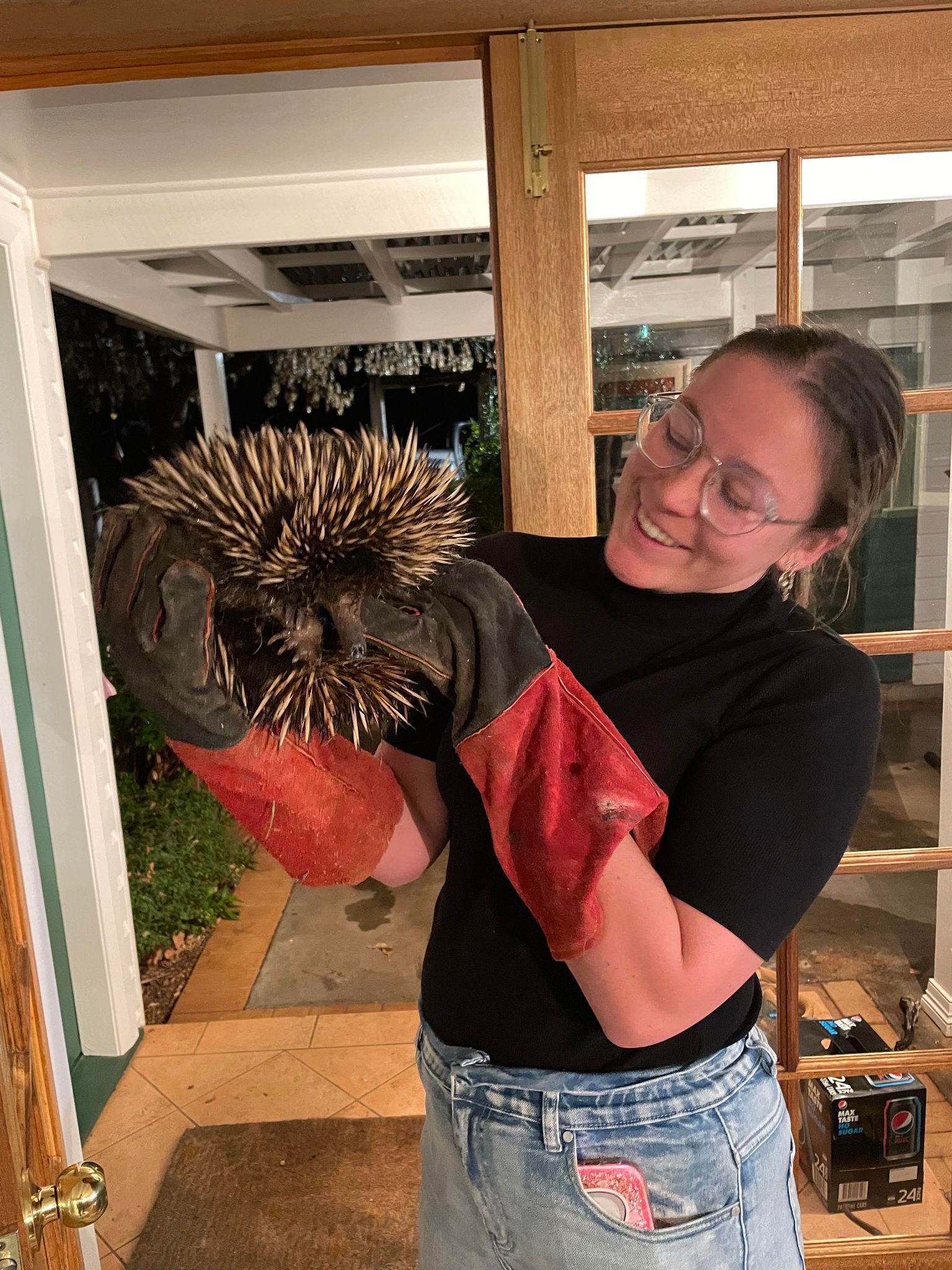 A woman in glasses and red and black gloves holds an echidna.