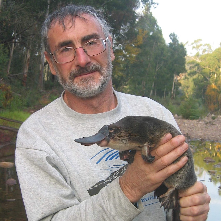 A man, wearing glasses, holds a platypus on the bank of a river
