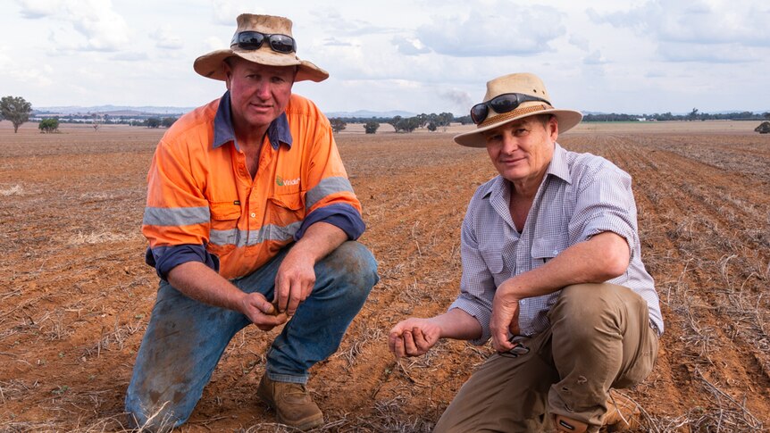 Two men kneeling in a crop field holding soil.
