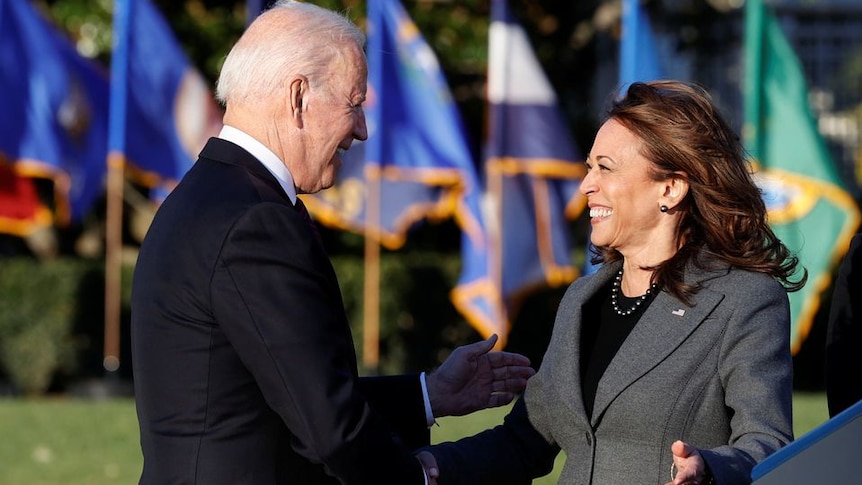 A man with short grey hair shakes hands with a woman with brown hair in front of a row of flags on a green lawn