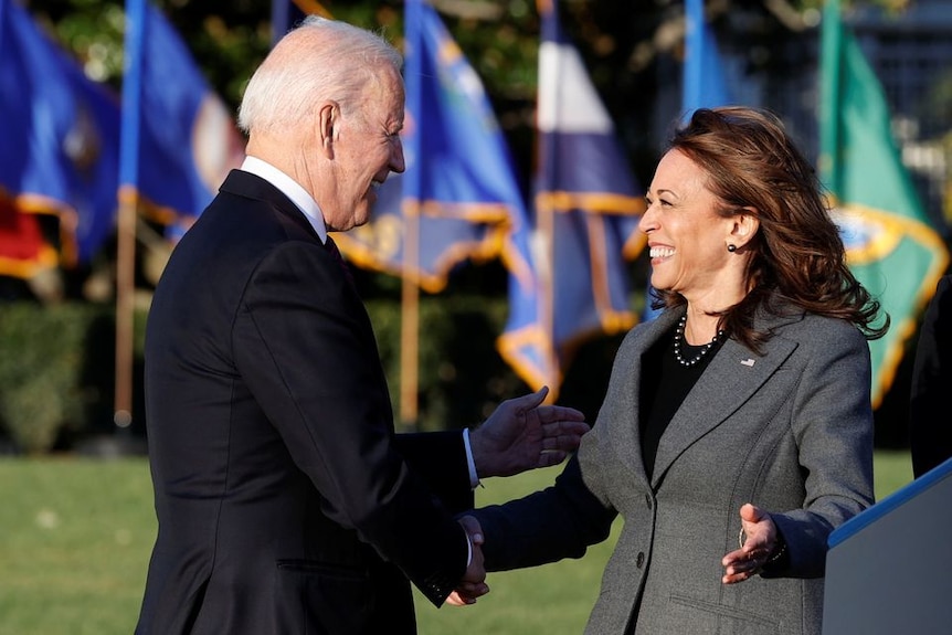 A man with short grey hair shakes hands with a woman with brown hair in front of a row of flags on a green lawn
