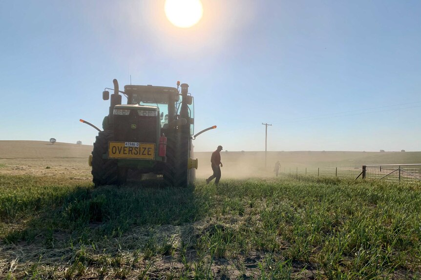 A farmer walks away from his harvester in a wheat crop, as the sun shines overhead.