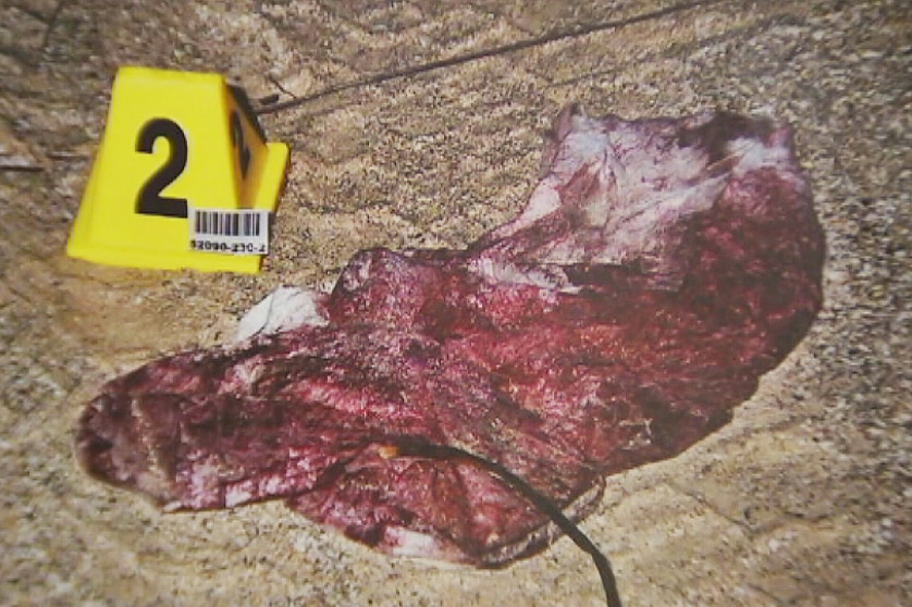 Evidence shown during the Salt Creek trial