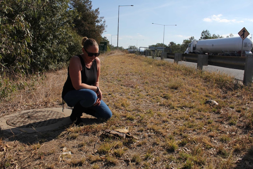 Sharleen Sharp kneels down by the side of a busy highway to look at a dead turtle on the ground.