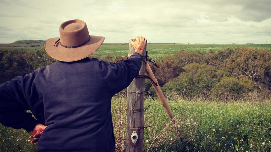 A farmer leans on a fence post overlooking empty green paddocks