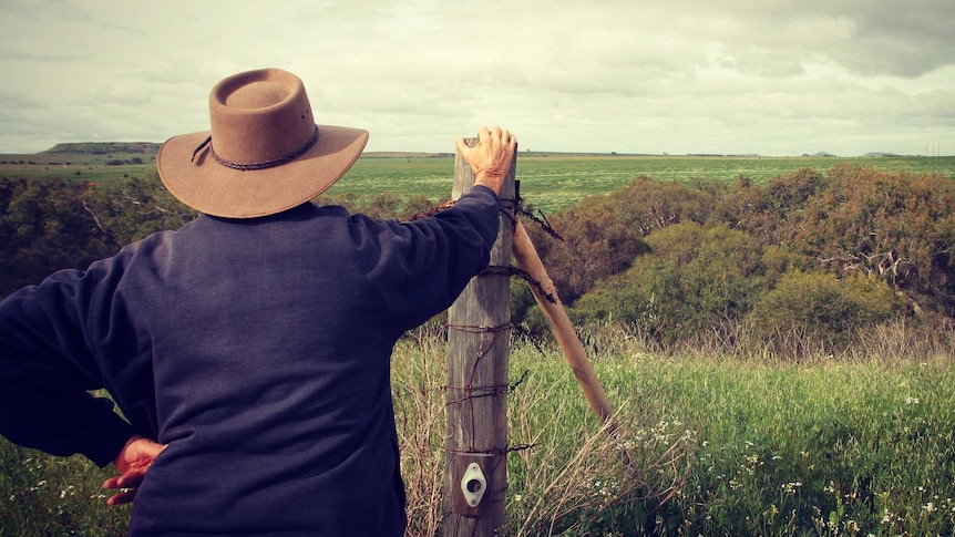 A Western Australian farmer looks over his property.