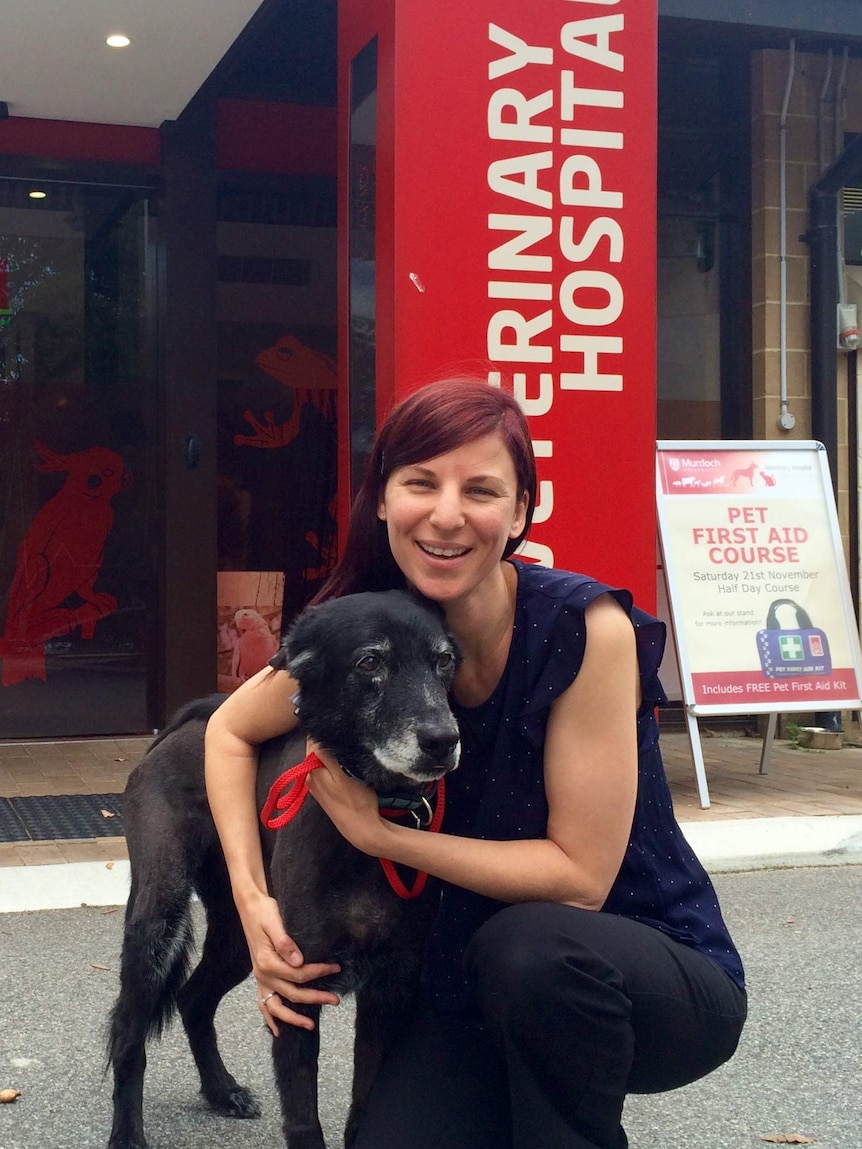 A woman hugs a dog outside the Murdoch University Animal Hospital.